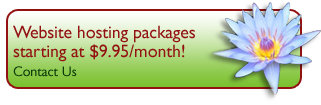 Website Hosting