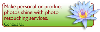 Marketing Materials
